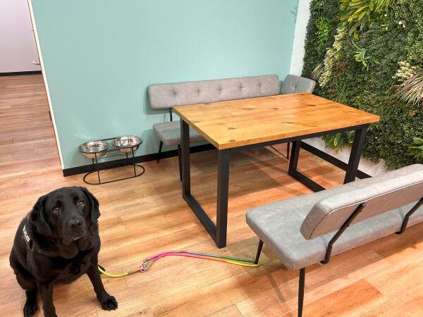 tocotoco株式会社 本社（常勤）の一般事務求人メイン写真3