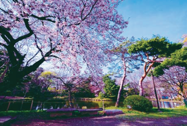 株式会社エヌジェーシー東京支社　東京都立 松沢病院（日勤パート）の医療事務求人メイン写真4