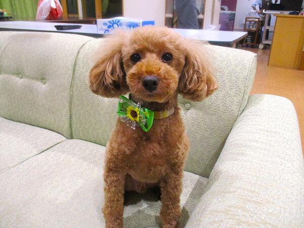 グループホーム 若草の丘（常勤）の介護福祉士求人メイン写真2