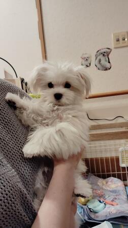 グループホーム春風の丘（常勤）の介護福祉士求人の写真