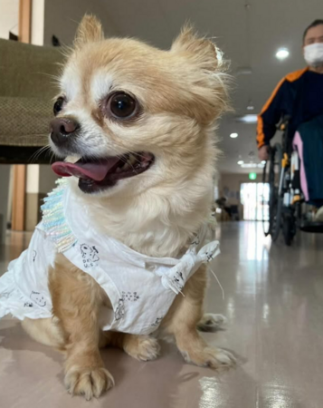 住宅型有料老人ホームまつしまの家（常勤）の介護職求人メイン写真5