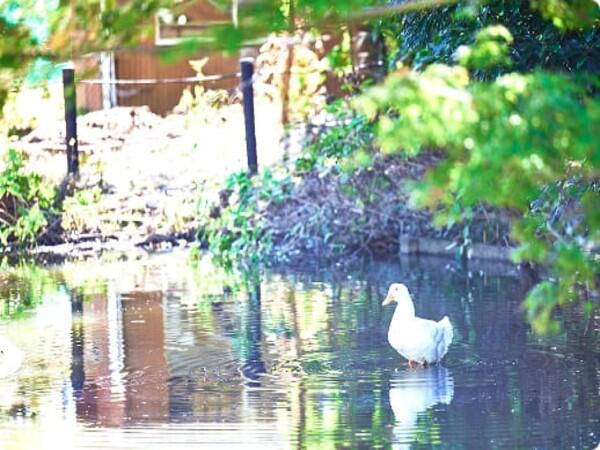 浅井病院（常勤）の介護職求人メイン写真5