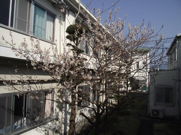 菊池有働病院（病棟/常勤）の看護師求人の写真