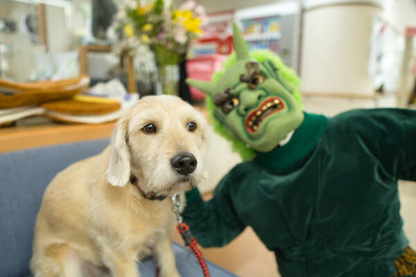特別養護老人ホーム恵の家（生活相談員/常勤）の社会福祉主事任用求人メイン写真3