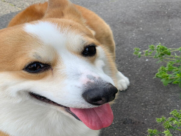 いきいきヘルパーステーション西福原（フルタイムパート）の介護福祉士求人メイン写真4