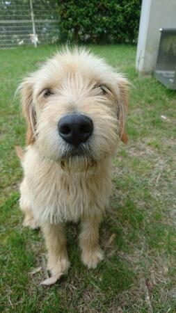 特別養護老人ホーム恵の家（介助員/パート）のその他求人メイン写真3