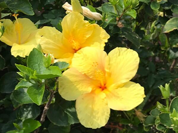 住宅型有料老人ホーム　あんねい（パート）の一般事務求人メイン写真4