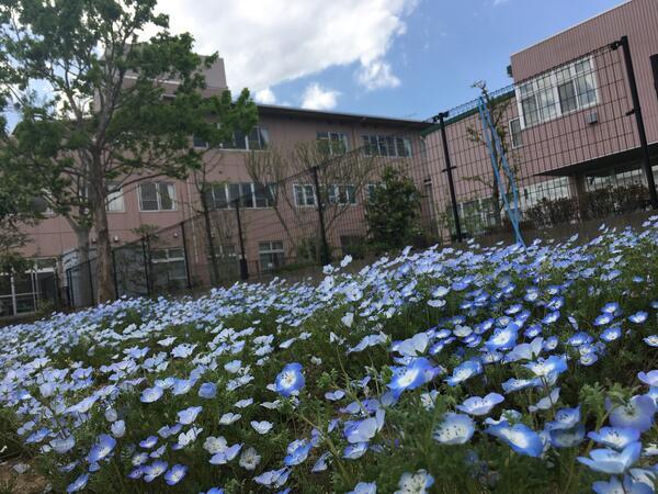 ヘルパーステーションはあとぴあ（常勤）の介護福祉士求人メイン写真3