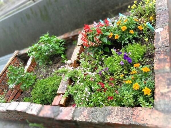 デイサービス桃園（常勤） の准看護師求人メイン写真2