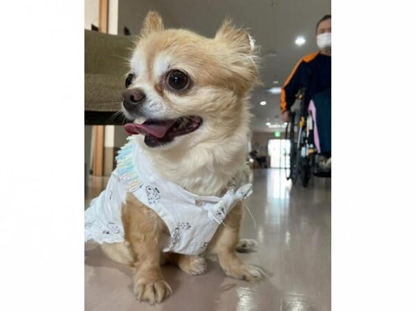 住宅型有料老人ホームまつしまの家（常勤）の看護師求人メイン写真4