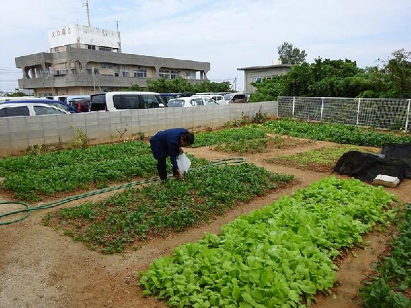 あい・ゆうデイサービス（パート）の介護職求人メイン写真3