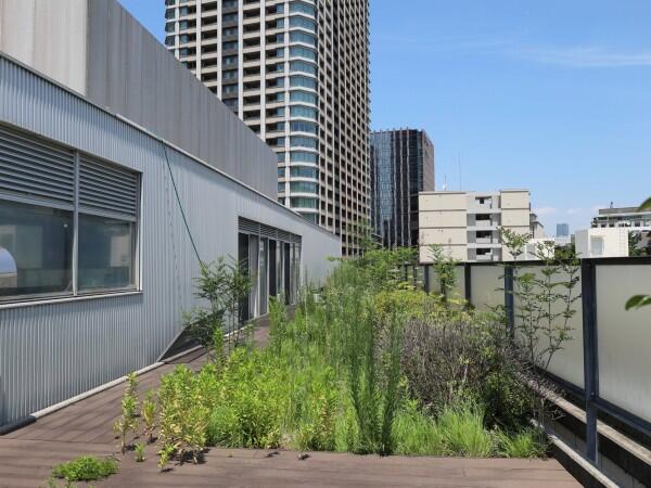 大崎病院 東京ハートセンター（常勤）の社会福祉士求人メイン写真4