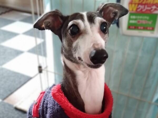 有料老人ホーム  ナーシングホームこころ（パート）の介護福祉士求人メイン写真5