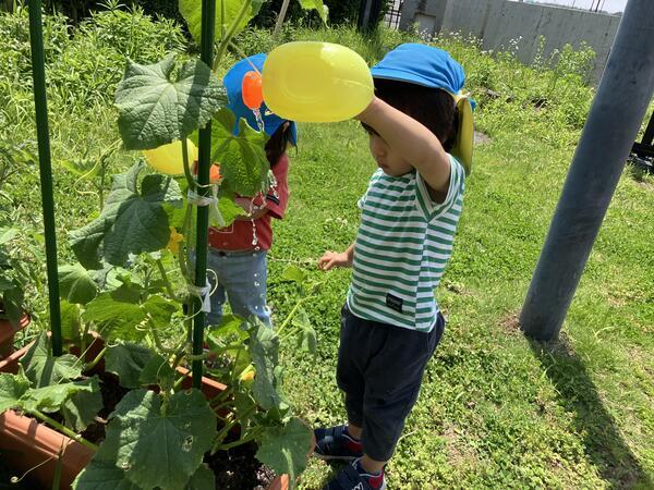 こぶしの里保育所（常勤）の保育士求人メイン写真3