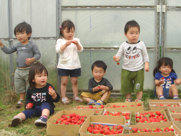 特別養護老人ホーム 中舘園（常勤）の看護師求人サブ写真1