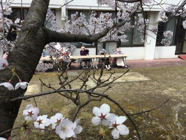 特別養護老人ホーム太陽の園（常勤）の介護福祉士求人メイン写真3