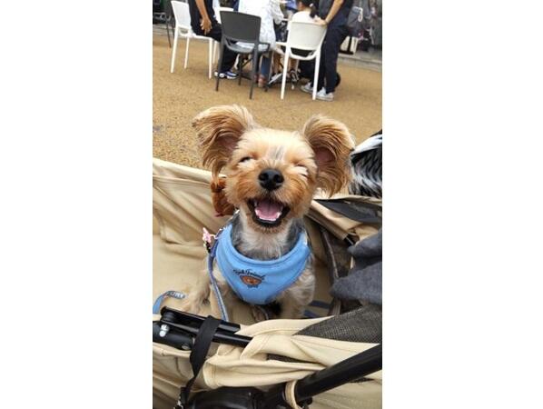 陽だまりケア横浜矢向（常勤）のケアマネジャー求人メイン写真4