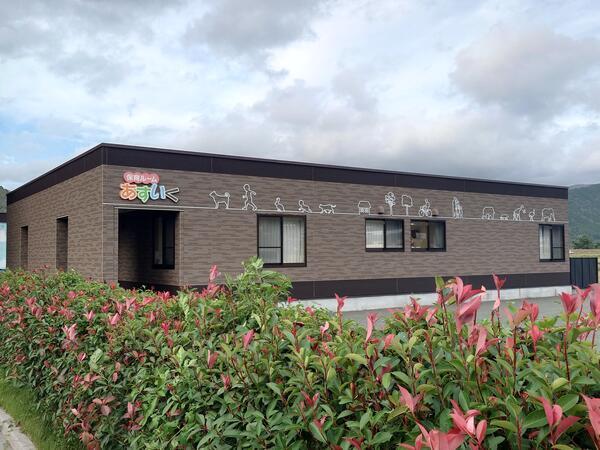 保育ルームあすいく（常勤）の保育士求人メイン写真2