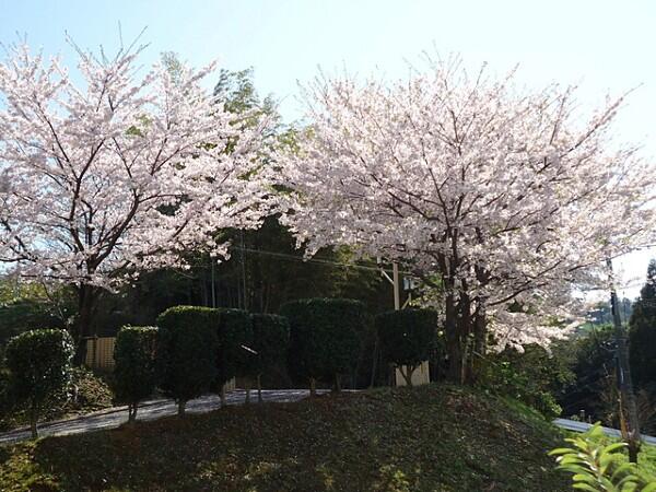 特別養護老人ホーム　歴史の里（常勤）の介護職求人メイン写真5