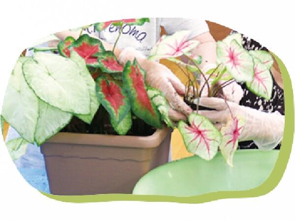 ケアハウス有馬ホロンの苑（パート）の調理師/調理員求人メイン写真4