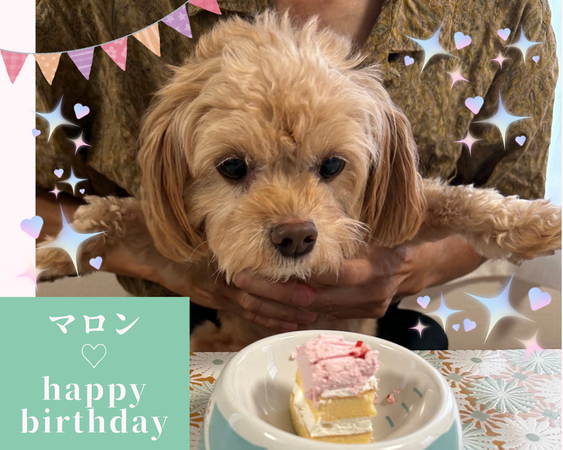 グループホーム いろは（夜勤常勤）の支援員求人サブ写真2