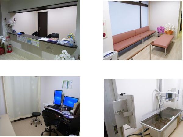 ちゅらゆりクリニック(常勤)の医療事務求人の写真