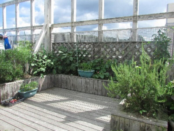 介護老人保健施設スイートケアなかよし（常勤）の介護職求人メイン写真2