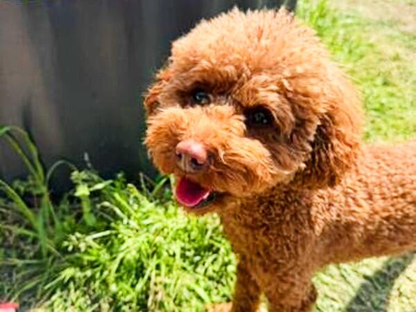 特別養護老人ホーム 青都荘（常勤）の介護福祉士求人サブ写真2