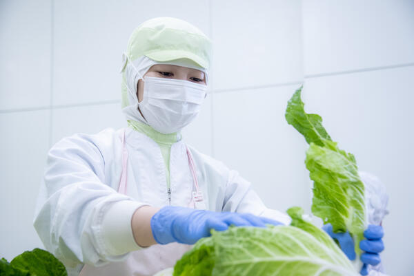 葉隠勇進(株)横浜市鶴見区元宮1丁目学校給食（厨房/パート）の調理補助求人メイン写真3