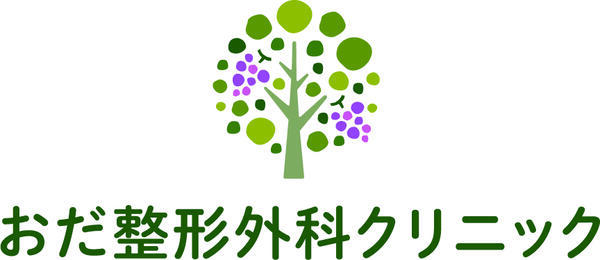 おだ整形外科クリニック（2026年5月オープン / 常勤）の理学療法士求人メイン写真2