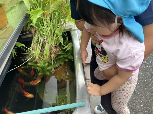 はーとぱーく保育園（常勤）の保育士求人の写真