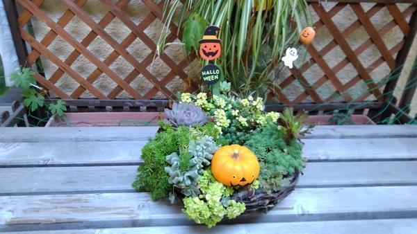 社会医療法人健生会 吉田病院（パート）の看護助手求人メイン写真3