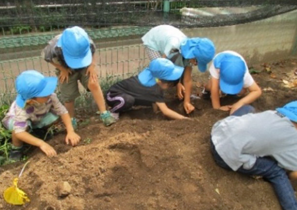豊島区立 南大塚保育園（常勤）の保育士求人の写真