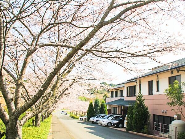 ショートステイ　さくらの里（常勤）の介護職求人メイン写真5