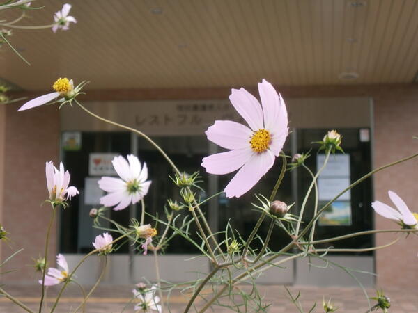 特別養護老人ホーム レストフルヴィレッジ（パート）の介護職求人の写真