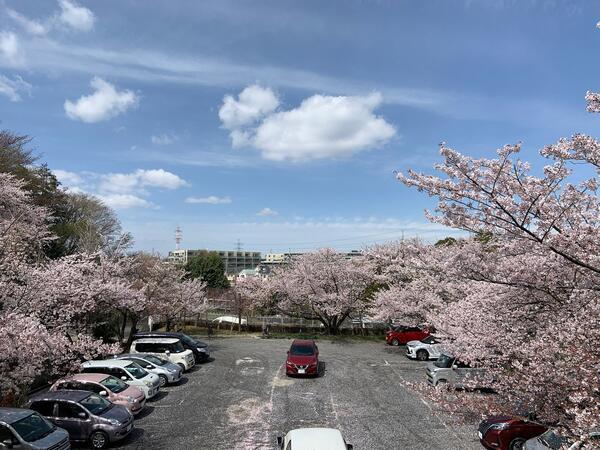 特別養護老人ホーム柿生アルナ園（パート）の一般事務求人メイン写真2