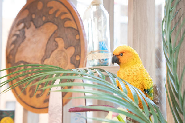 青山アレルギークリニック（常勤）の医療事務求人メイン写真2