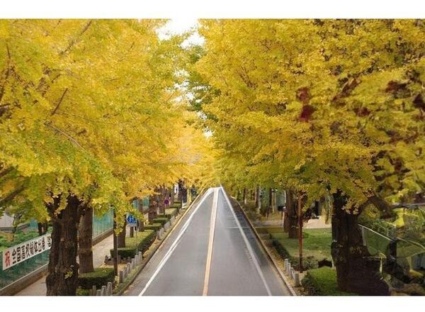 ちゅらゆりクリニック（常勤）の医療事務求人メイン写真3