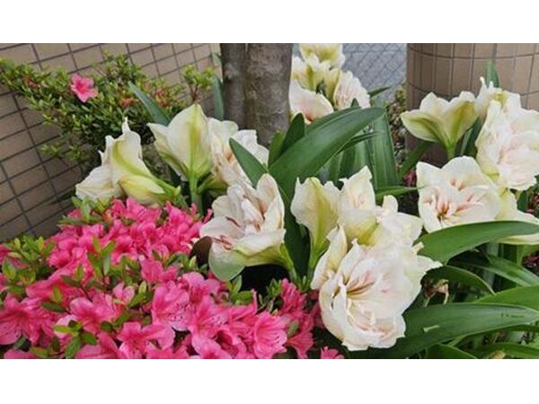 桜井消化器科・内科（パート）の医療事務求人メイン写真2