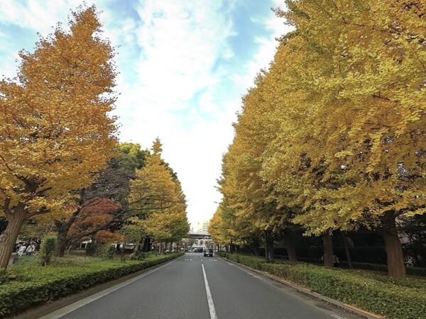 医療法人社団芳雄会:医療事務(正社員)の医療事務求人サブ写真2