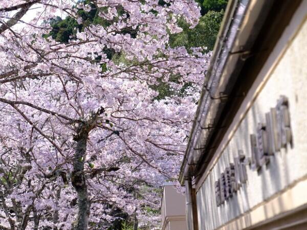 特別養護老人ホーム直川苑（常勤）の介護福祉士求人メイン写真2