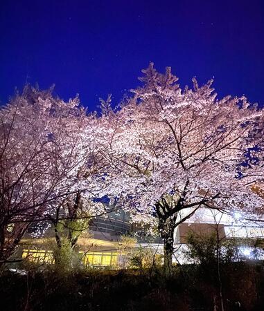 特別養護老人ホーム梅の郷（パート）の清掃員求人メイン写真4