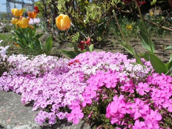 介護付有料老人ホーム　あさひガーデン（常勤） のケアマネジャー求人メイン写真4