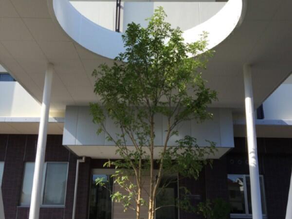 社会福祉法人 長野社会福祉事業財団（常勤）の一般事務求人メイン写真4