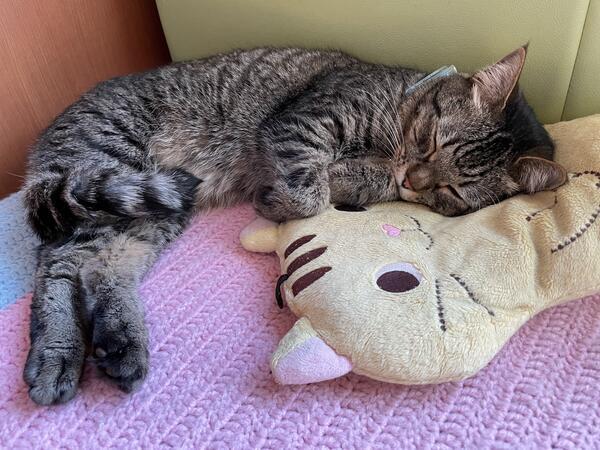 小規模多機能 あかりの家川島苑（正社員）の介護職求人メイン写真5