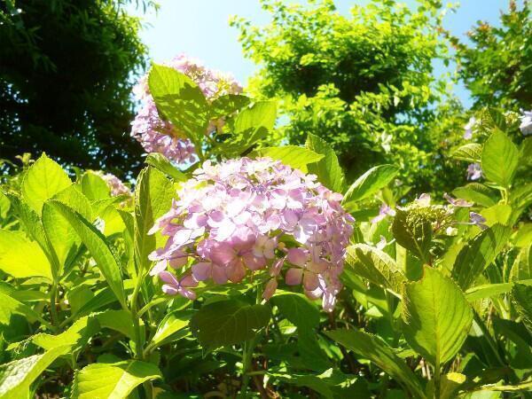 特別養護老人ホーム 菅の里（生活相談員/常勤）のケアマネジャー求人メイン写真4