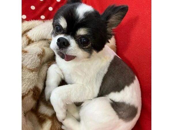 P☆Aファーム（パート）の支援員求人の写真