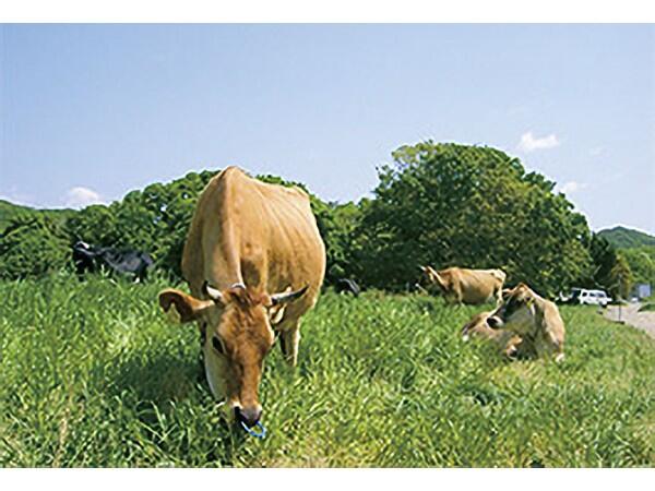 デンマーク牧場子ども家庭サポートセンター（常勤）の公認心理師求人メイン写真3