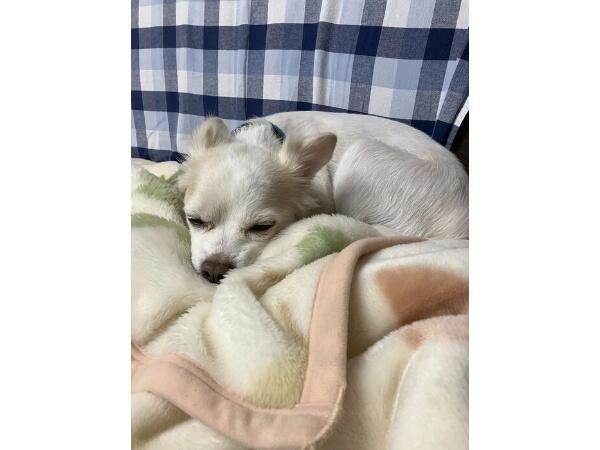 P☆Aファーム（パート）の支援員求人メイン写真2