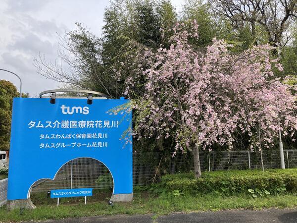 タムス介護医療院花見川 通所リハビリテーション（パート）の介護職求人メイン写真2